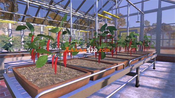 c5be24b4-ddb2-4414-b4c4-26ecd4c67e11.jpg c5be24b4-ddb2-4414-b4c4-26ecd4c67e11.jpg