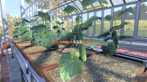 b33d9281-cdb1-4385-86a4-f46e3bdeac5f.jpg b33d9281-cdb1-4385-86a4-f46e3bdeac5f.jpg