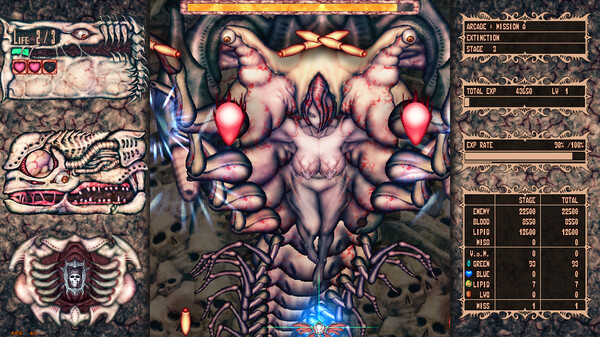 华丽的近身弹幕战斗