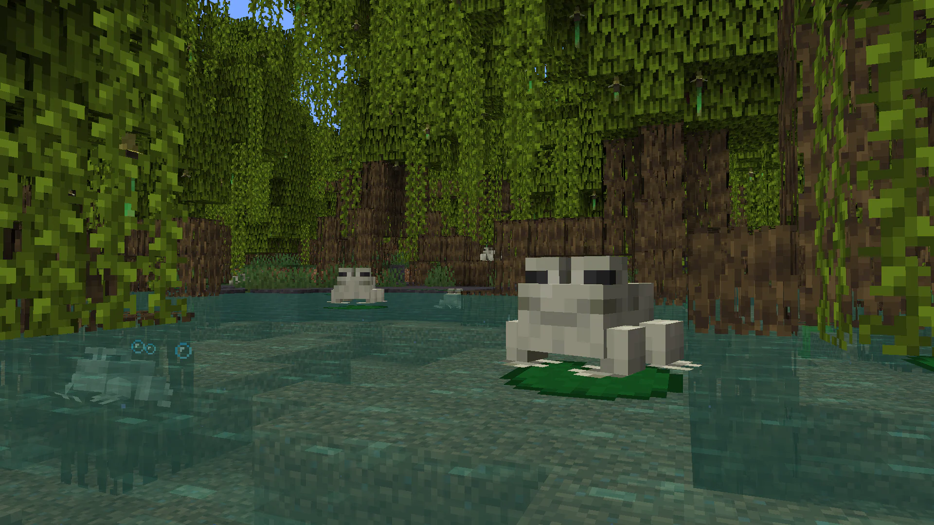 在沼泽中栖息的可爱青蛙