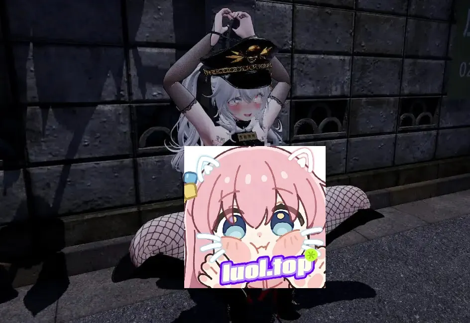 游戏中自定义角色选项展示