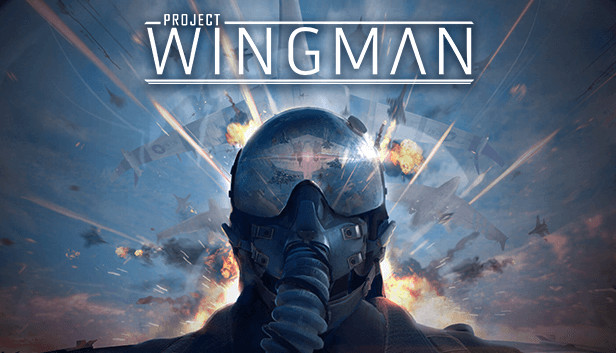 Project Wingman 游戏封面