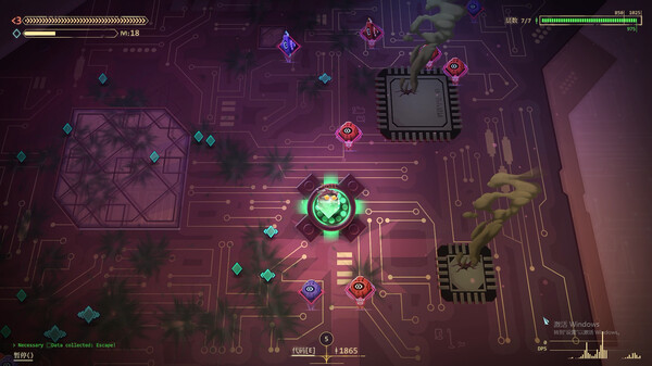 生存代码 地图随机性