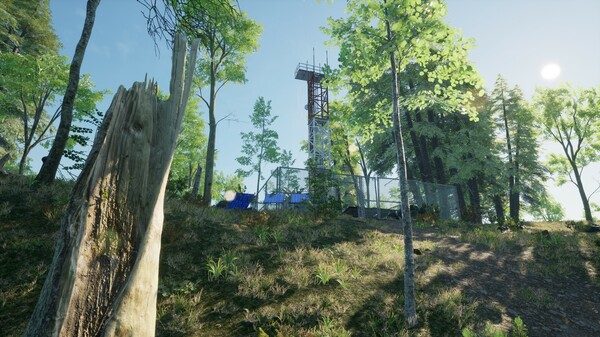 夜间生存与光影