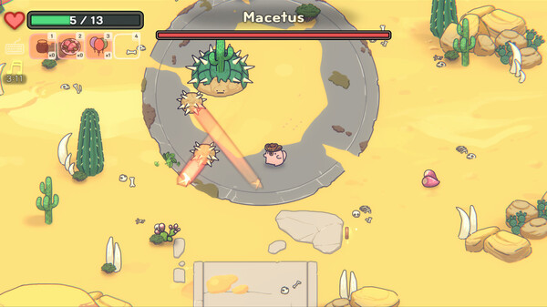 与森林居民互动