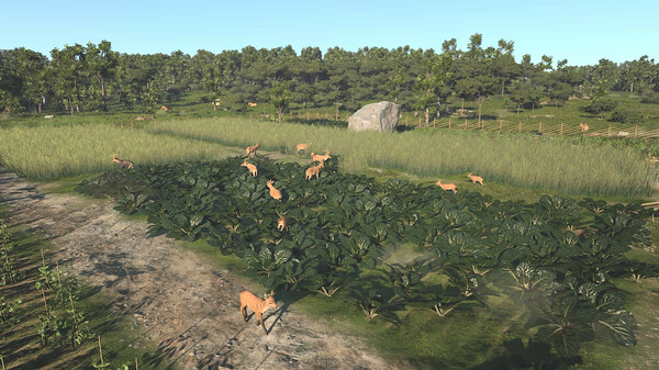 夏日的海边采集与贸易点