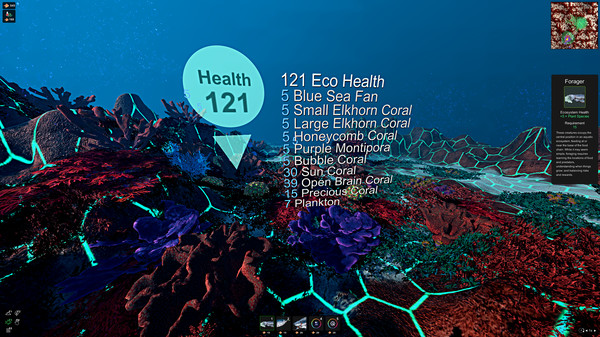 生物游泳机制模拟