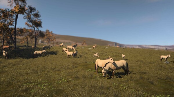 多样化的地形与植被