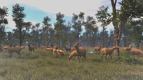 俯瞰视角下的部落分布