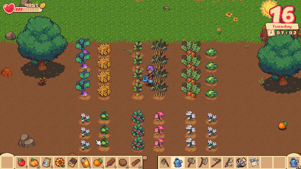 橙子季节 农场展示