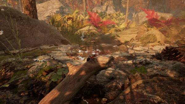 令人惊叹的光影效果与细节