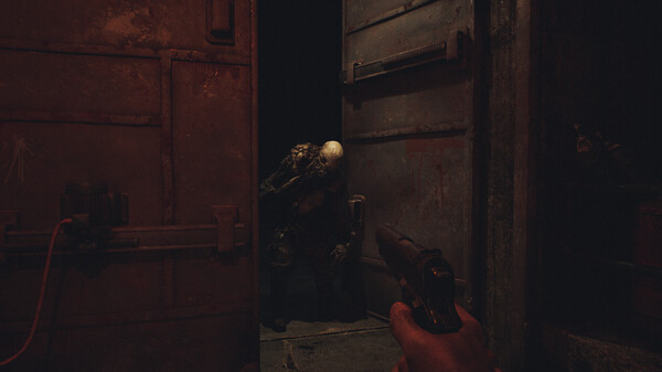 松树港 森林探险